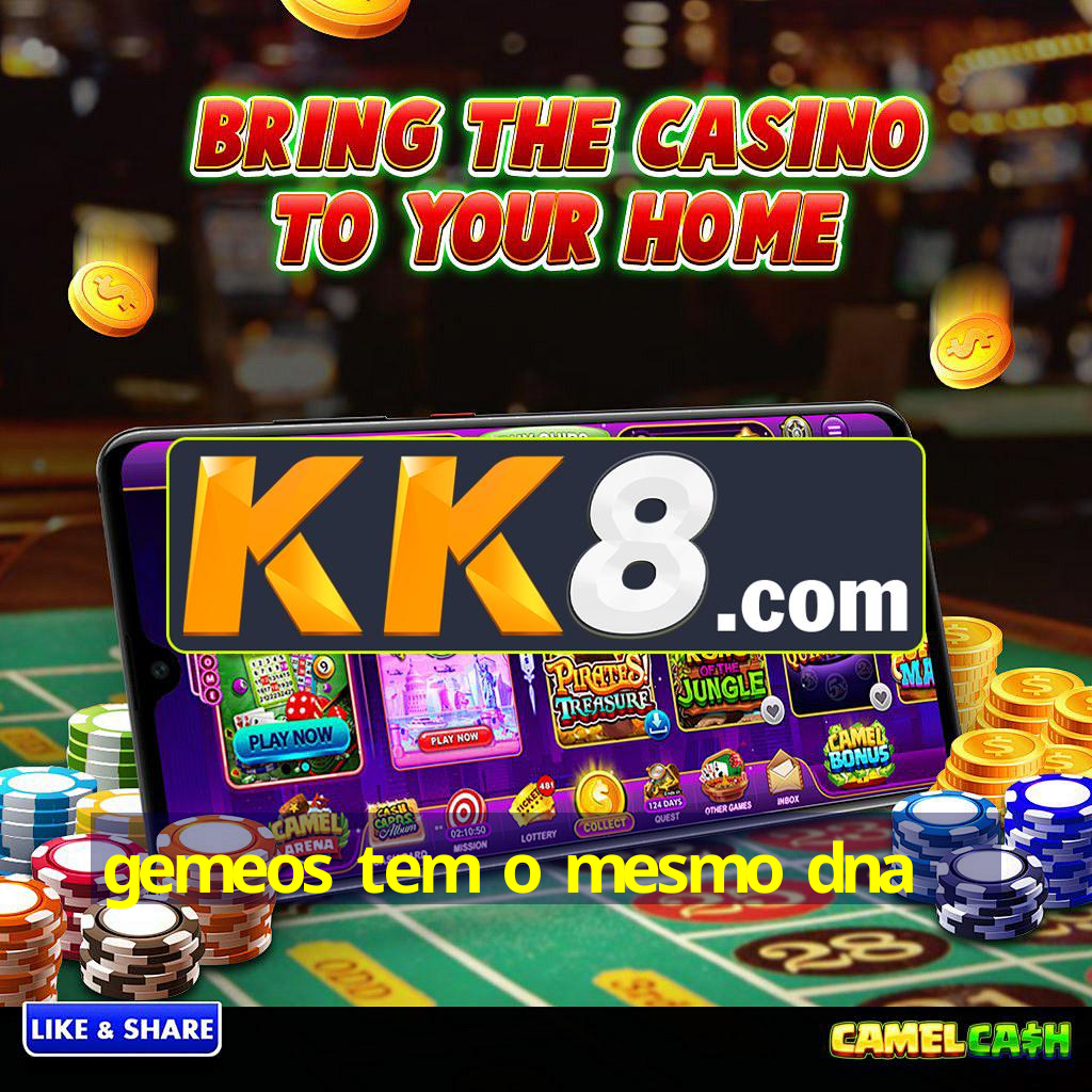 gemeos tem o mesmo dna