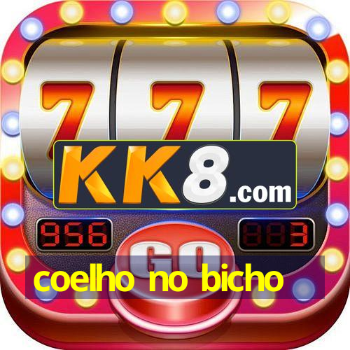 coelho no bicho