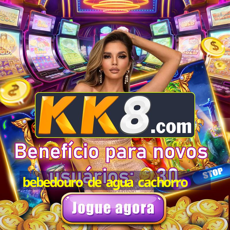 bebedouro de agua cachorro