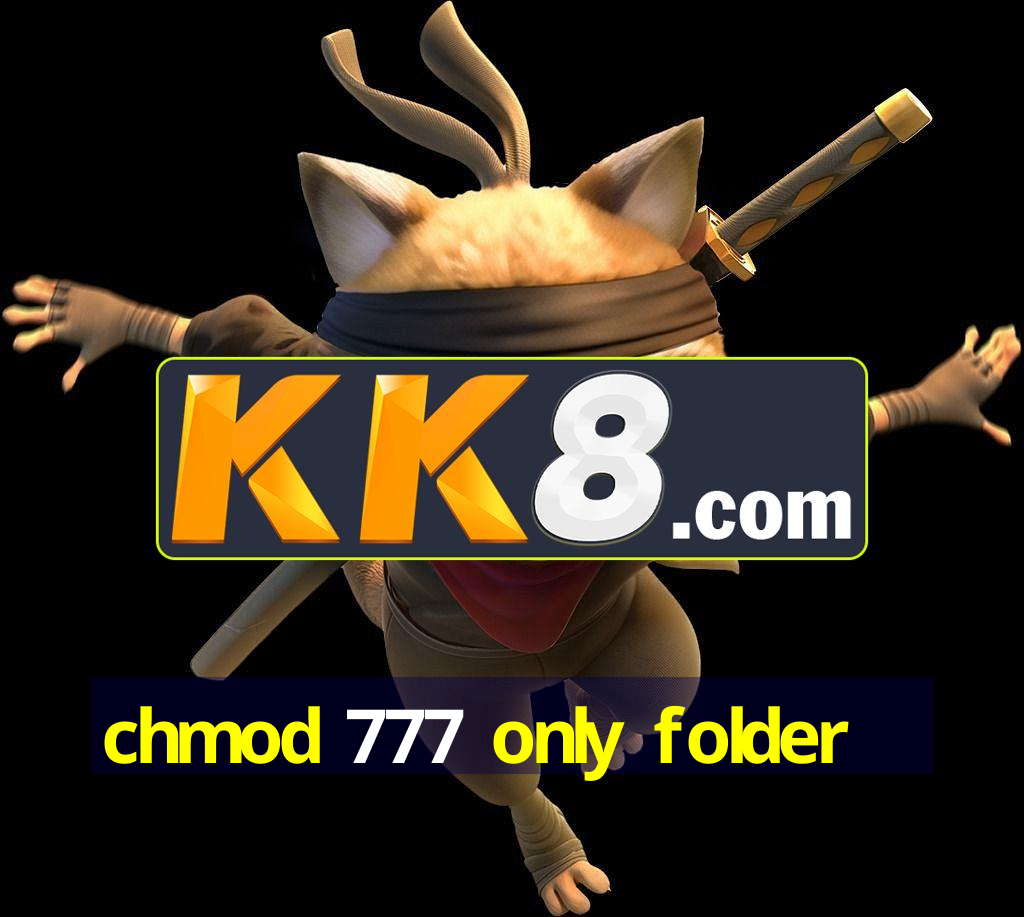 chmod 777 only folder