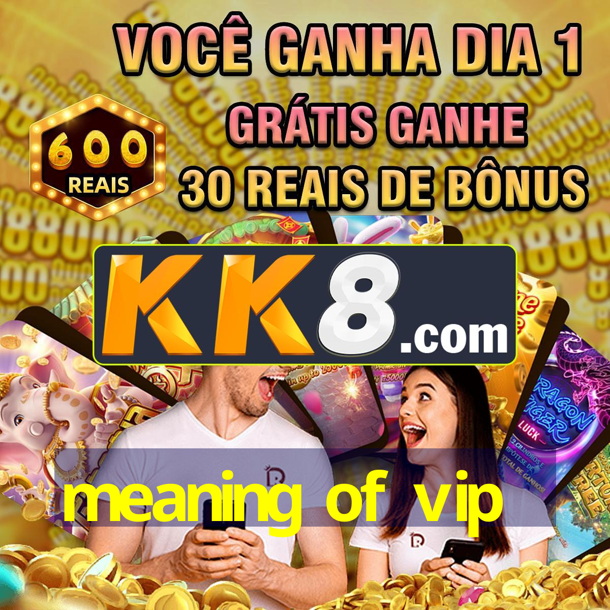 meaning of vip