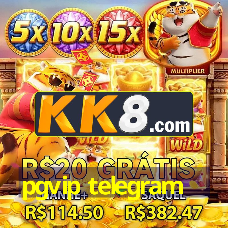 pgvip telegram