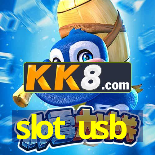 slot usb