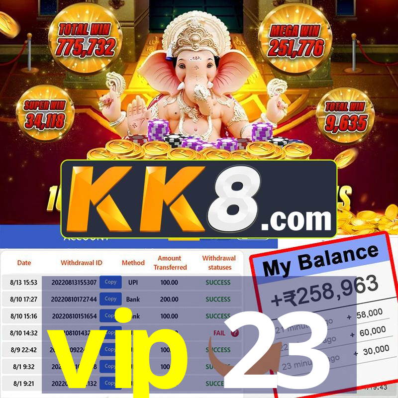 vip 23