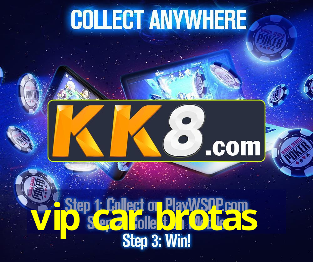 vip car brotas