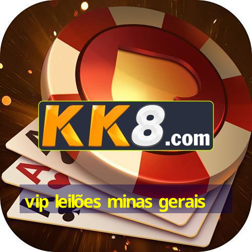 vip leilões minas gerais